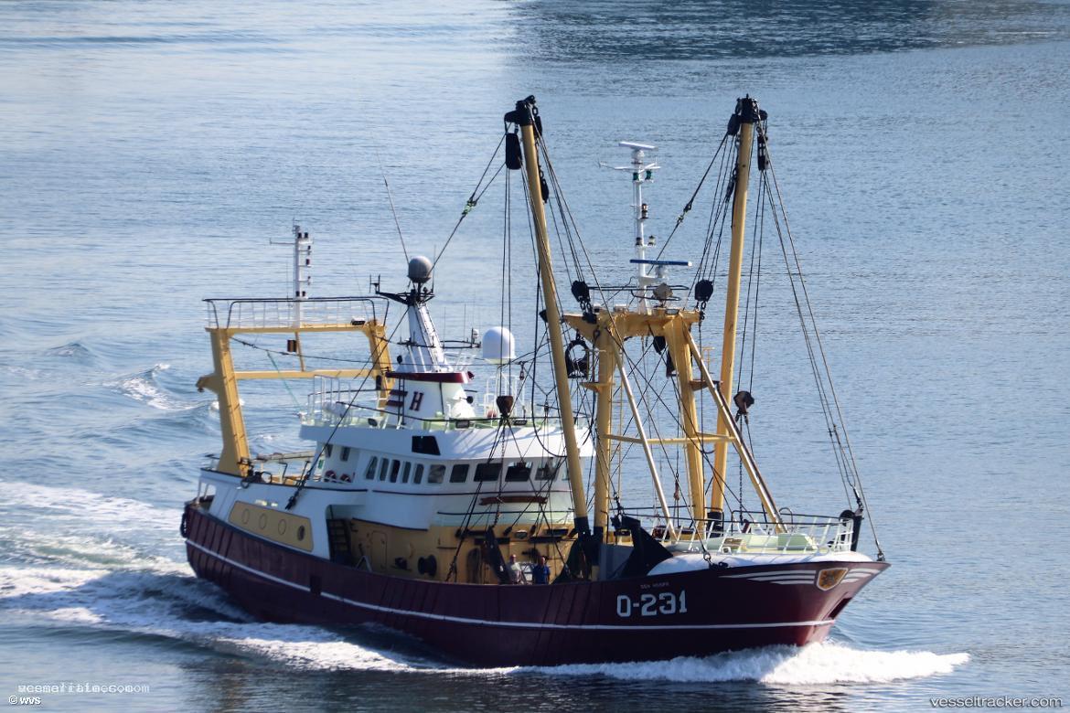 O-231-Den-Hoope - Fishing Vessel vessel registered in Belgium