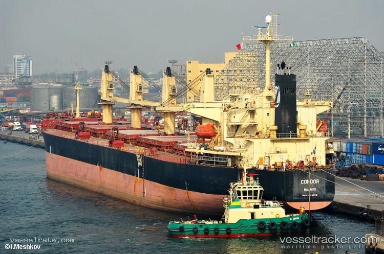 Asian-Wisdom - Bulk Carrier vessel registered in Indonesia