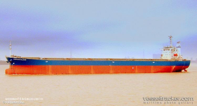Nan-Xin-3 - Bulk Carrier vessel registered in China