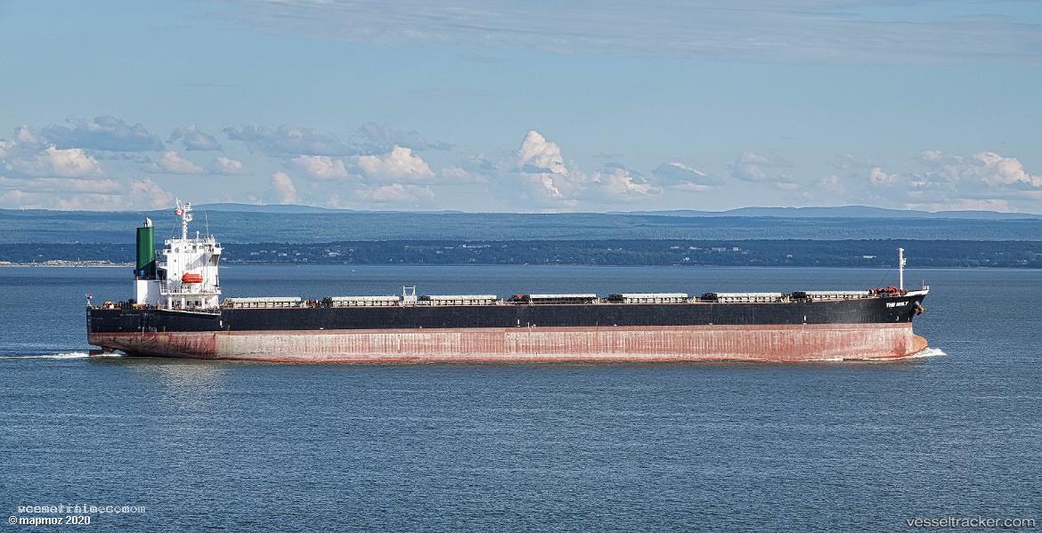 Tariel - Bulk Carrier vessel registered in Panama