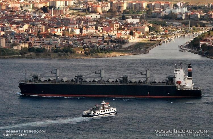 Thanh-Thanh-Dat-8999 - Wood Chips Carrier vessel registered in Panama