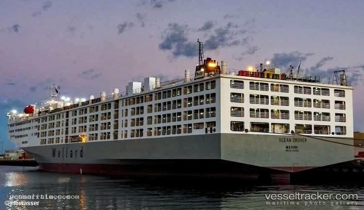Ocean-Drover - Livestock Carrier vessel registered in Singapore