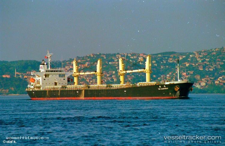 Lofty-Mountain - Bulk Carrier vessel registered in Marshall Islands