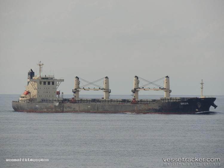 Defense - Bulk Carrier vessel registered in Panama