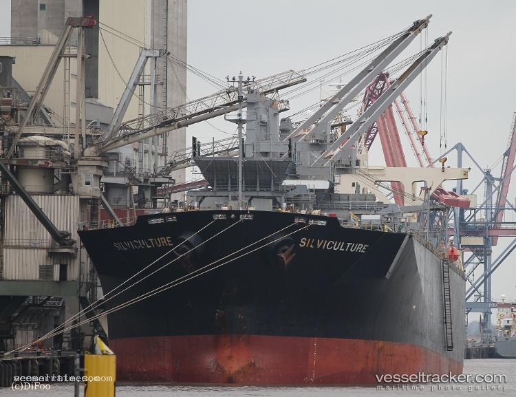Rizhao-Express - Wood Chips Carrier vessel registered in Panama