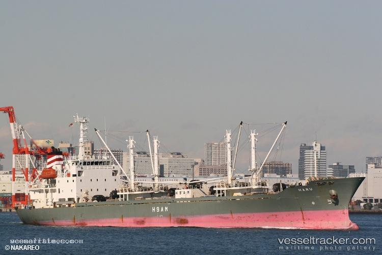Haru - Refrigerated Cargo Ship vessel registered in Panama