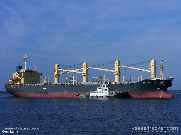 Tan-Binh-129 - Bulk Carrier vessel registered in Vietnam