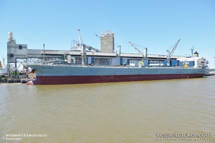 Zhong-Wang-Teng-Da - Bulk Carrier vessel registered in China