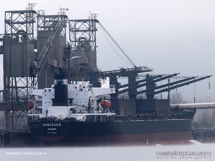Sea-Ilex - Bulk Carrier vessel registered in Panama