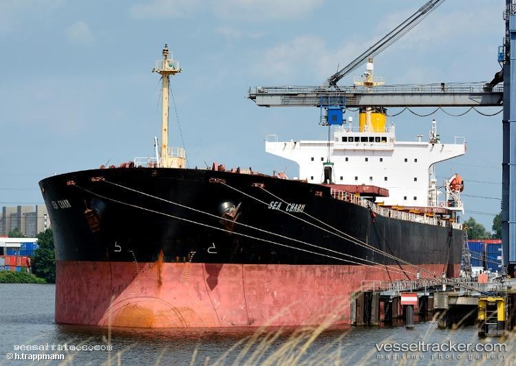 Yu-Xiao-8 - Bulk Carrier vessel registered in Panama
