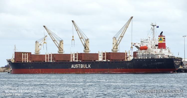 Tan-Binh-135 - Bulk Carrier vessel registered in Vietnam
