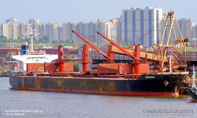 Chorus-V - Bulk Carrier vessel registered in Panama