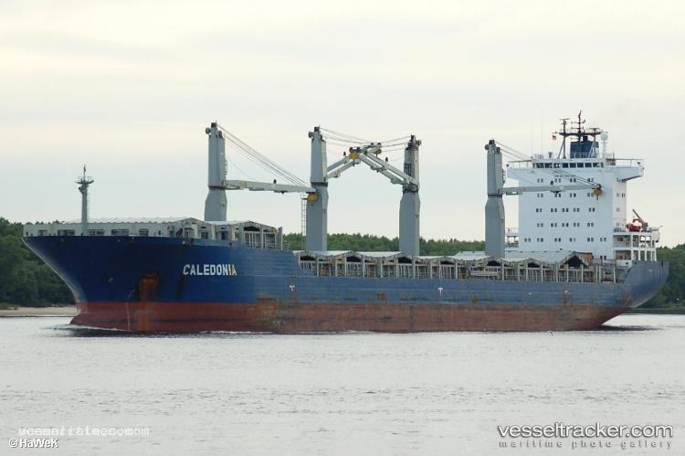 Msc-Caledonia-Ii - General Cargo Ship vessel registered in Liberia