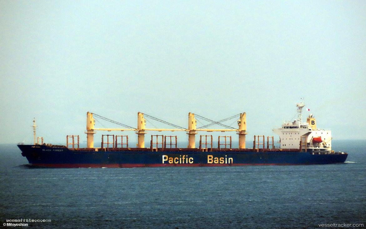 Sunny-Fortune - Bulk Carrier vessel registered in Panama