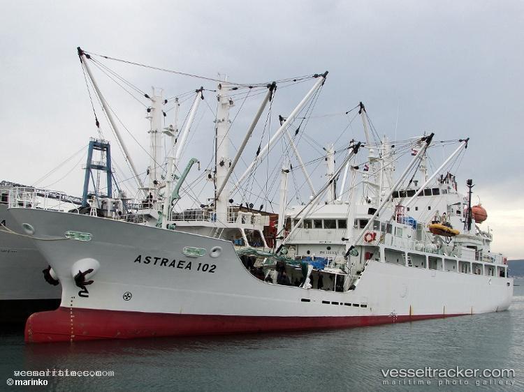 Lari - Refrigerated Cargo Ship vessel registered in Russia