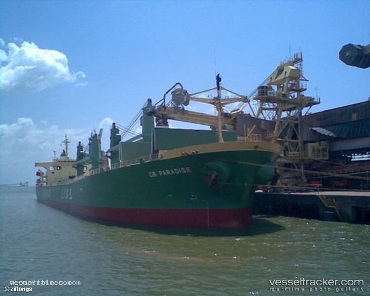 Elanora - Self Discharging Bulk Carrier vessel registered in Bahamas