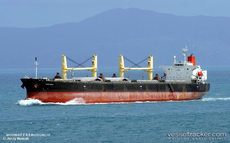 Ocean-Hiryu - Bulk Carrier vessel registered in Singapore