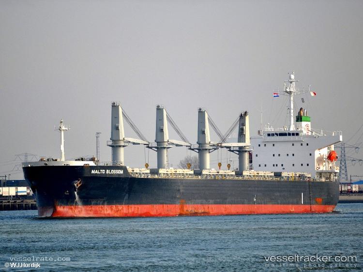 Asian-Pearl - Bulk Carrier vessel registered in Panama