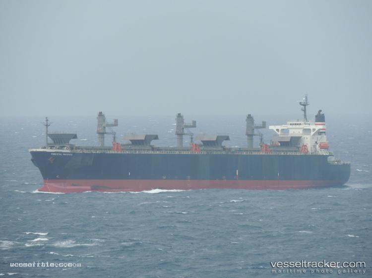 Lucky-Angel - Wood Chips Carrier vessel registered in Panama