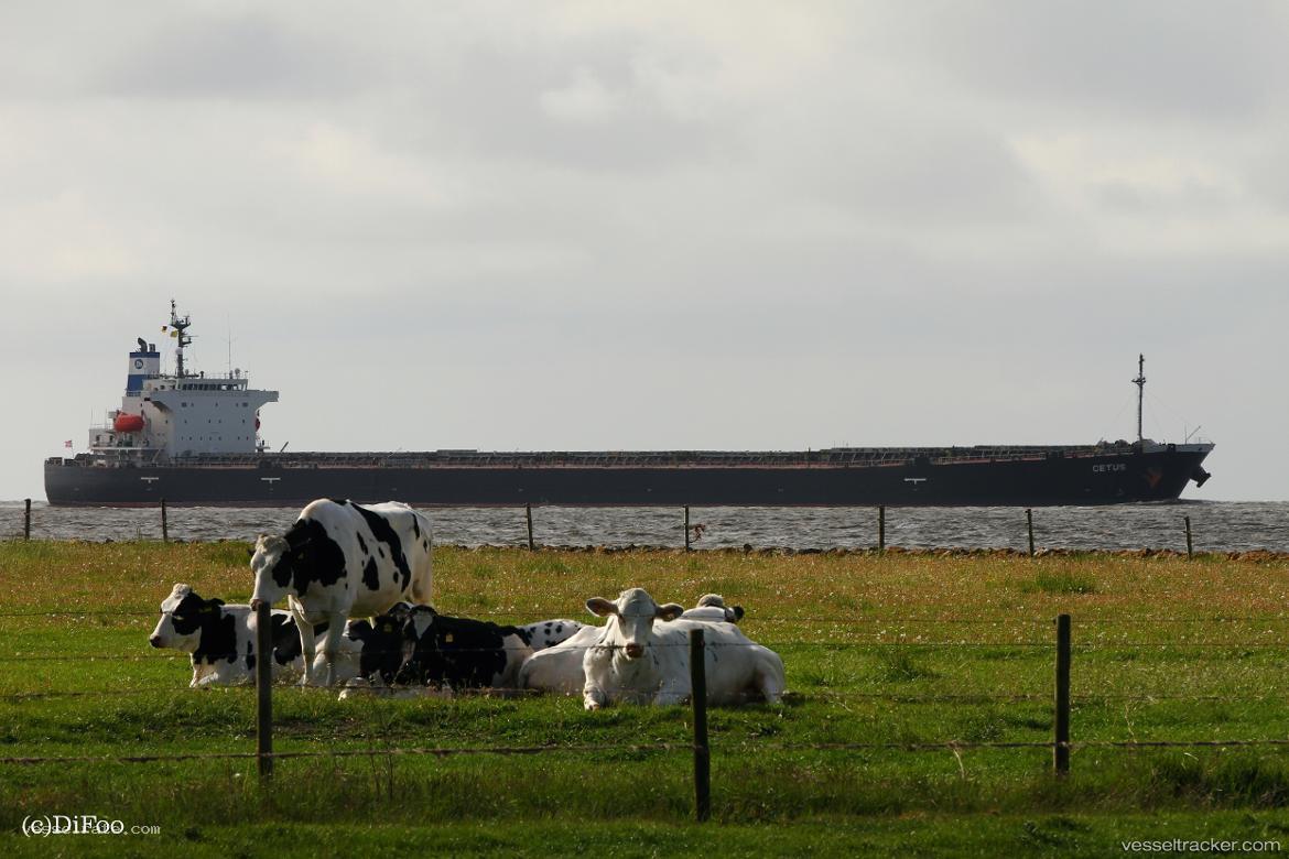 Cetus - Bulk Carrier vessel registered in Liberia