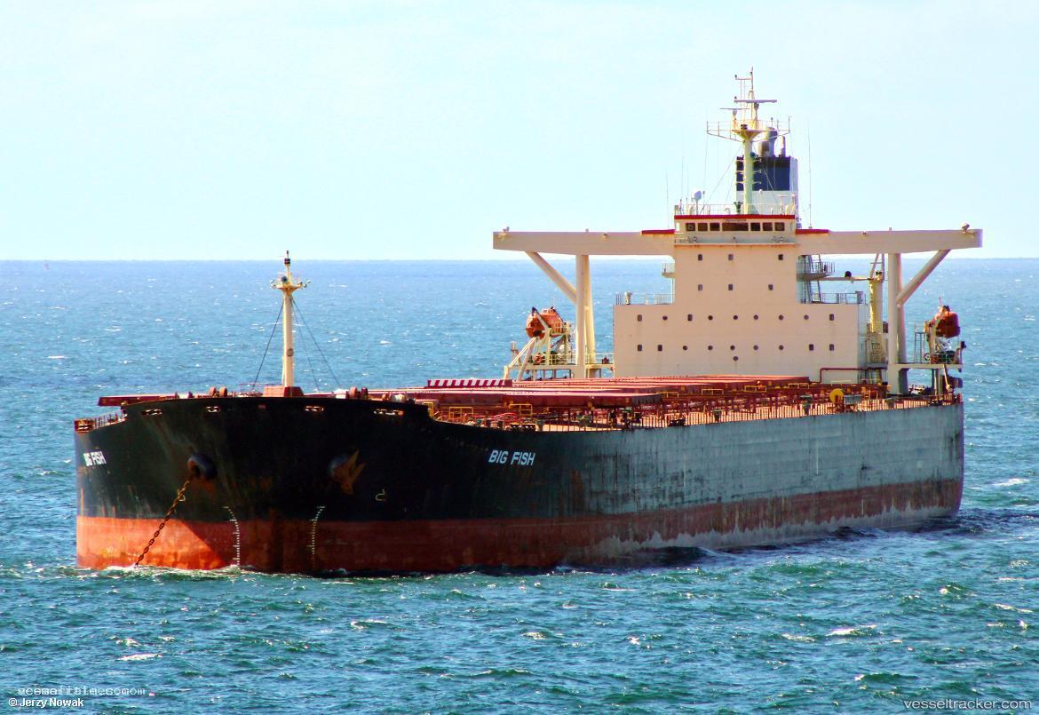 Sea-Taurus - Bulk Carrier vessel registered in Panama