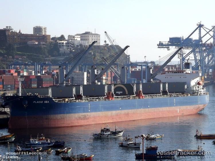 Placid-Sea - Bulk Carrier vessel registered in Panama