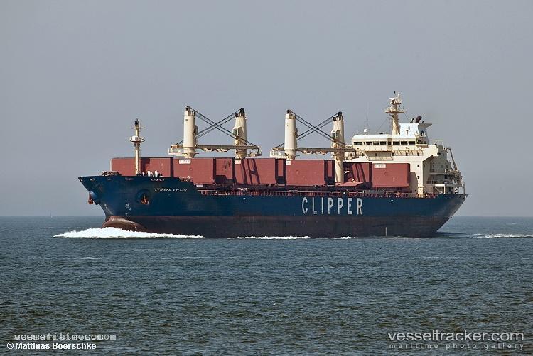 Tulpar - Bulk Carrier vessel registered in Marshall Islands