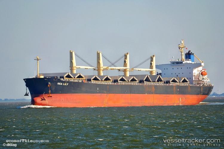 Sea-Amelia - Bulk Carrier vessel registered in Panama
