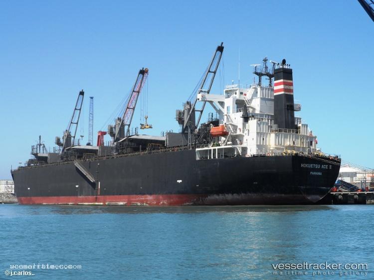 Fp-Ace-Iii - Wood Chips Carrier vessel registered in Panama