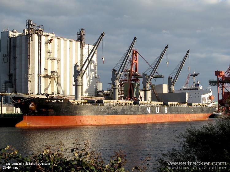 Abdullah-M - Bulk Carrier vessel registered in Saint Kitts and Nevis