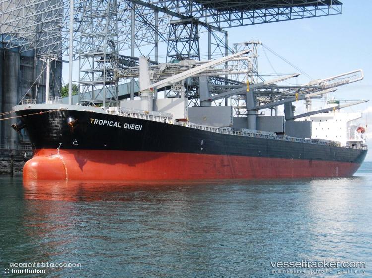 Vigorous - Bulk Carrier vessel registered in Panama