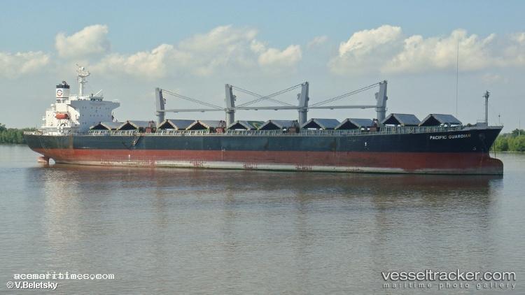 Camellia-8 - Bulk Carrier vessel registered in Panama