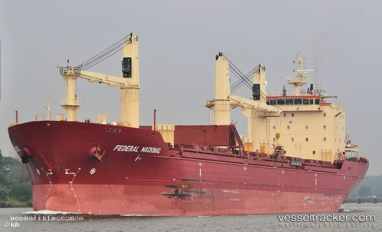 Lady-Sacha - Bulk Carrier vessel registered in Barbados