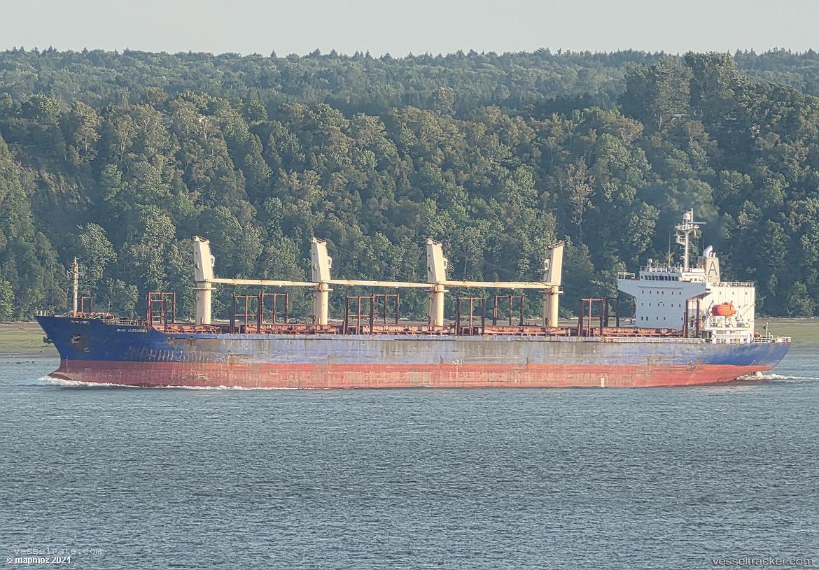 Blue-Alexandra - Bulk Carrier vessel registered in Marshall Islands