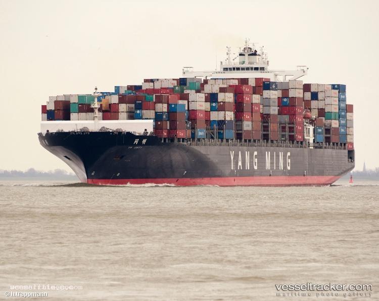 Msc-United-Viii - Container Ship vessel registered in Cyprus