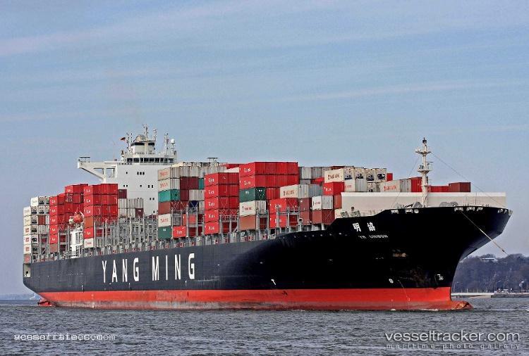 Msc-Fairfield - Container Ship vessel registered in Portugal