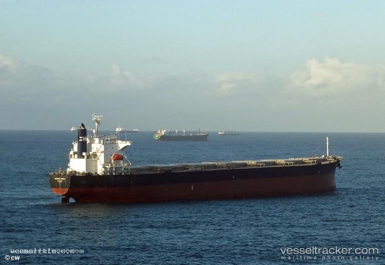 Sea-Orion - Bulk Carrier vessel registered in Panama