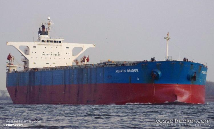 Ami - Bulk Carrier