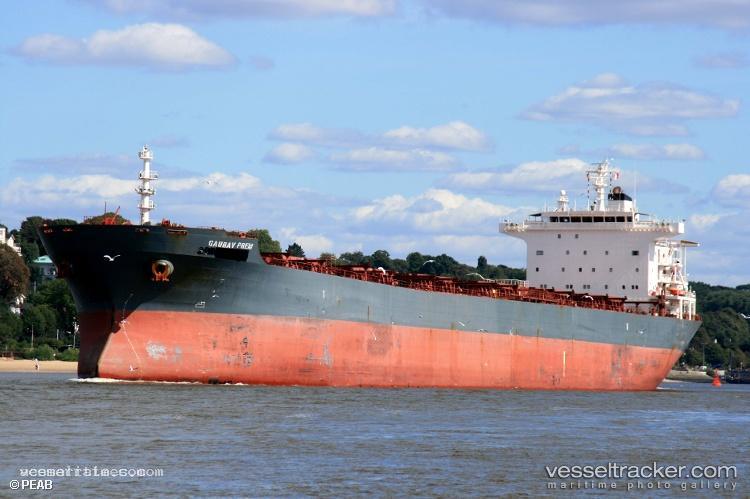 Wei-Ye-Fu-Yun - Bulk Carrier vessel registered in China