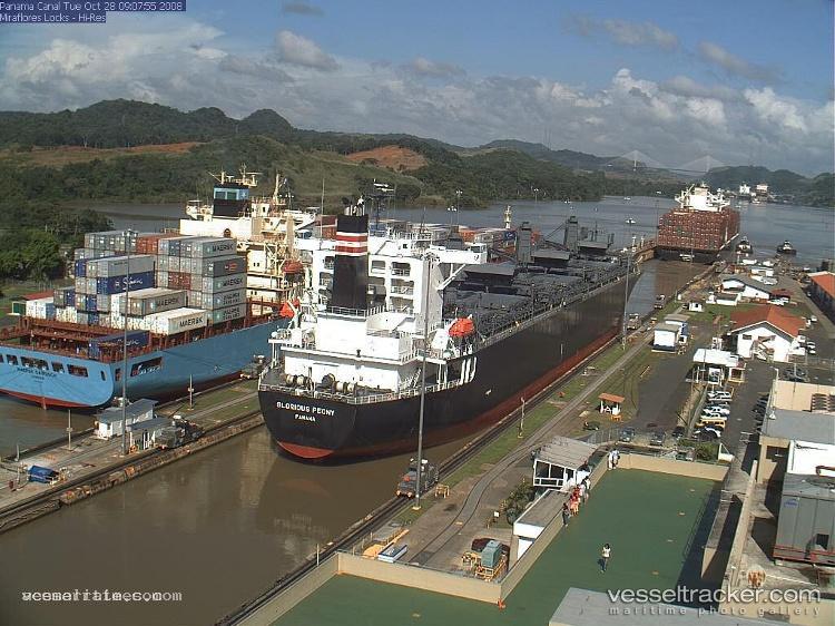 Glorious-Peony - Wood Chips Carrier vessel registered in Panama