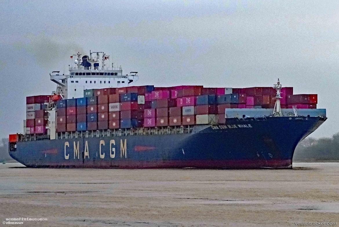 Cma-Cgm-Blue-Whale - Container Ship vessel registered in Malta