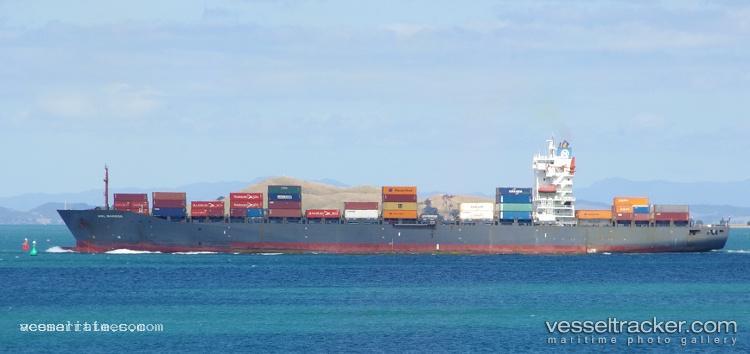 Msc-Anusha-Iii - Container Ship vessel registered in Portugal