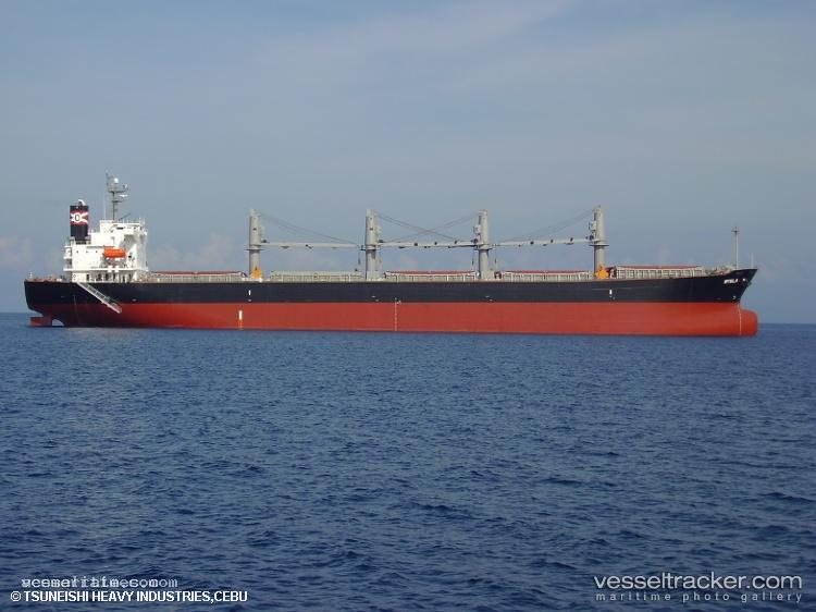 Xin-Bo - Bulk Carrier vessel registered in Panama