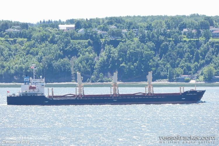 Hoang-Anh-02 - Bulk Carrier vessel registered in Panama