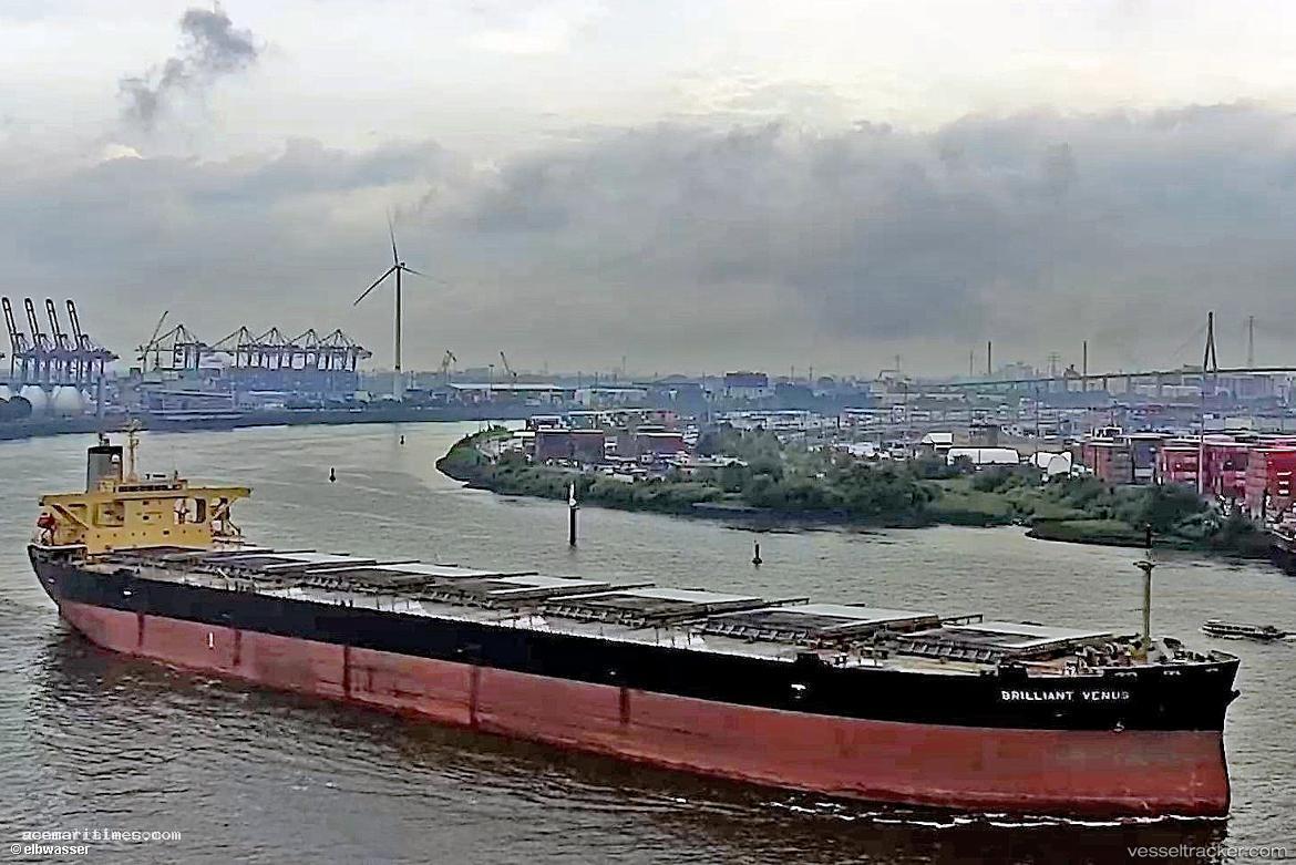 Brilliant-Venus - Bulk Carrier vessel registered in Panama