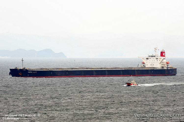 Sunny-Fria - Bulk Carrier vessel registered in Panama