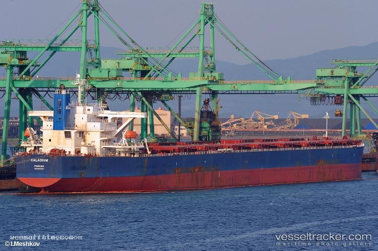 Winning-Kindness - Bulk Carrier vessel registered in Singapore