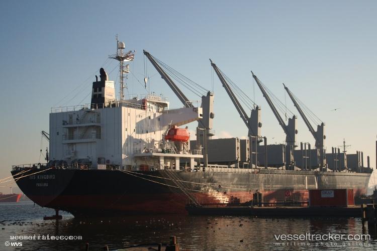 Mavi-Vatan - Bulk Carrier vessel registered in Turkey
