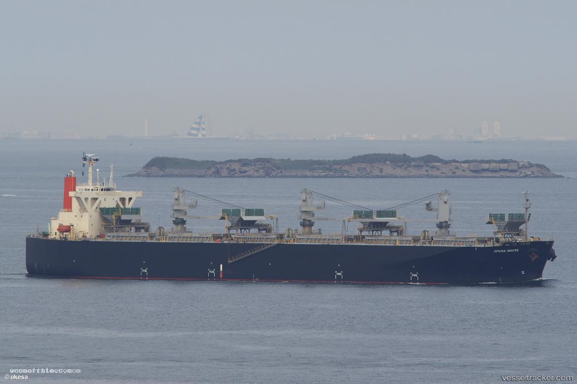 Opera-White - Wood Chips Carrier vessel registered in Japan