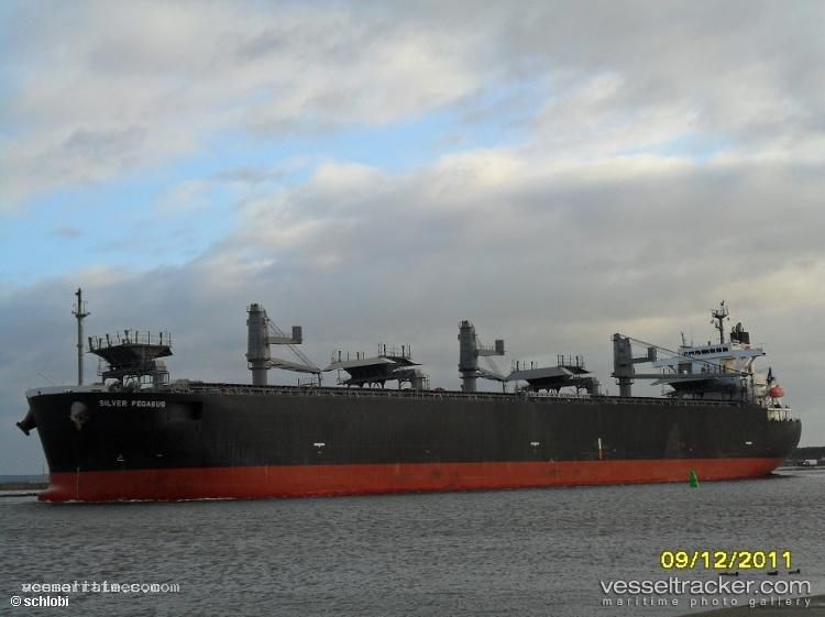 Silver-Pegasus - Wood Chips Carrier vessel registered in Panama